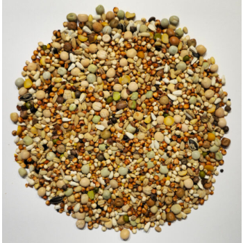 Elpol - "BK" Bez pszenicy i kukurydzy - 25kg